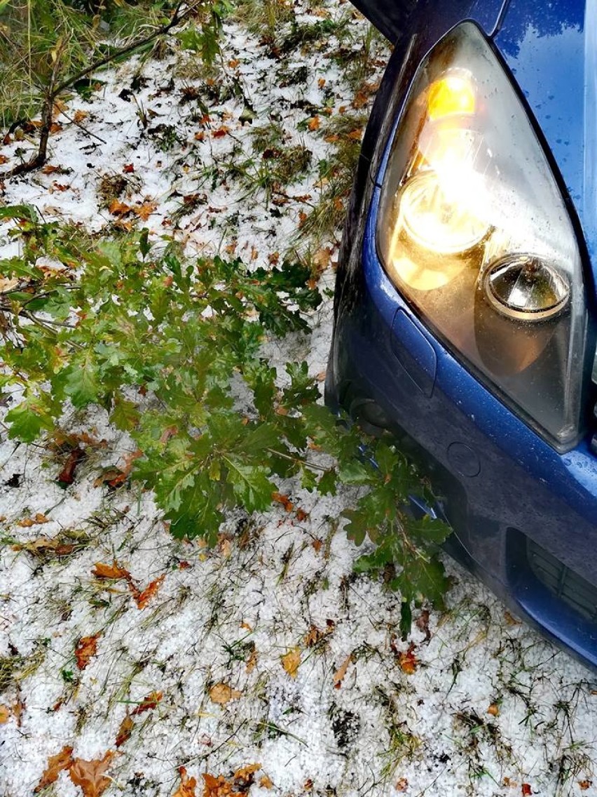 Jaki informuje portal Info Meteo - Elbląg przez Skowronki...