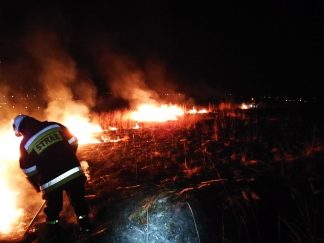 Do tej pory w powiecie gorlickim spłonęło już około siedmiu hektarów łąk i nieużytków