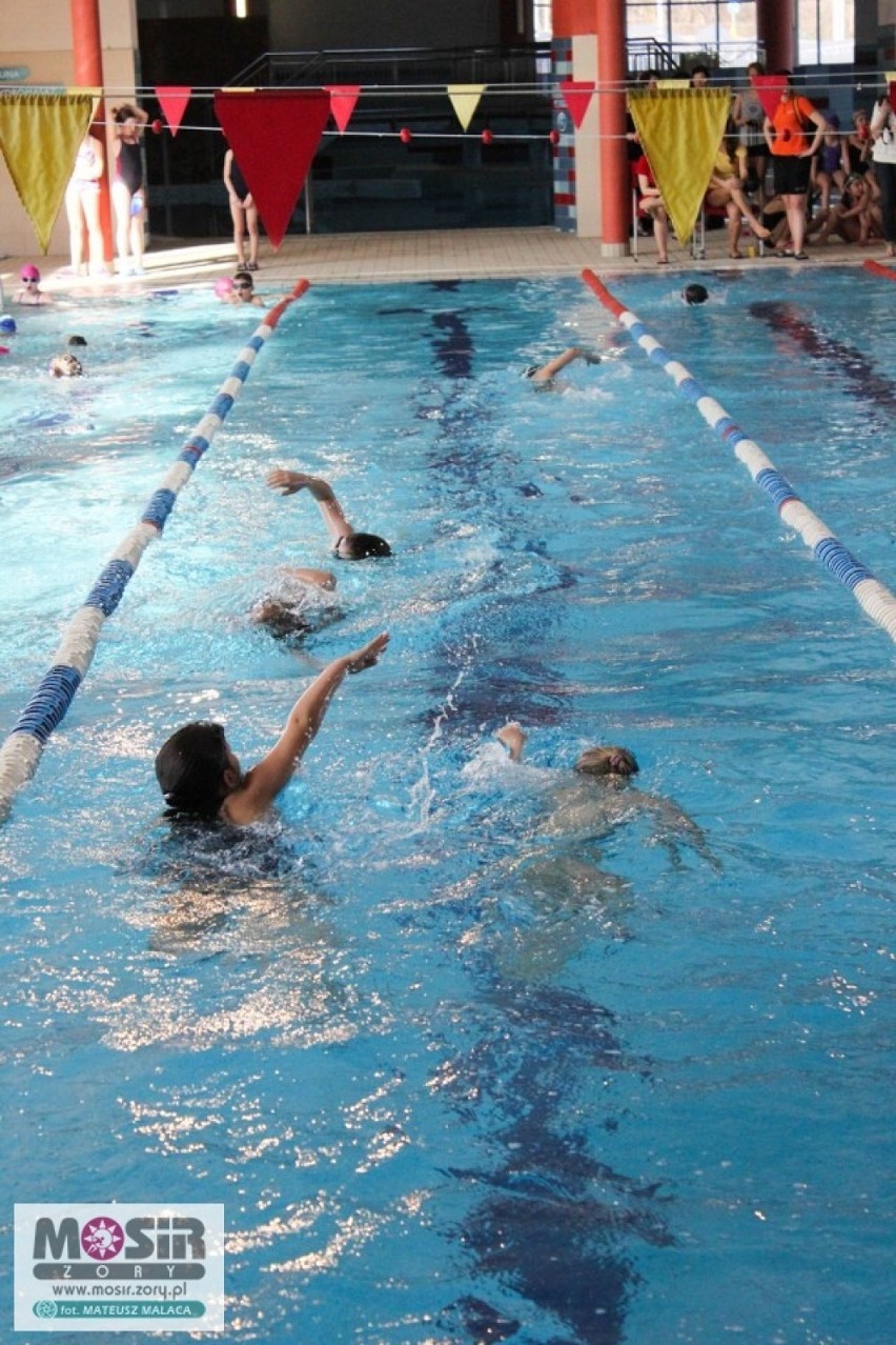 Międzyszkolne Mistrzostwa Żor w Pływaniu 2014