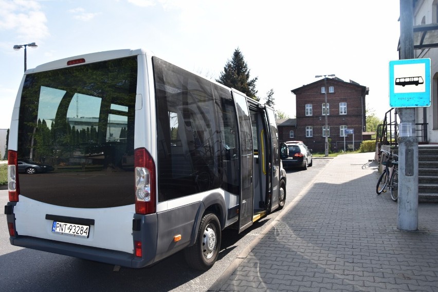 Komunikacja Miejska powróciła. Nie obyło się bez negatywnych...