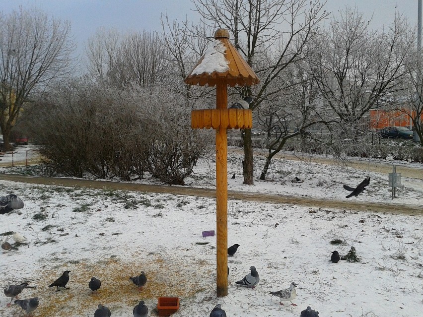 Dokarmiamy ptaki zima..!!!
