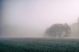 Uważajcie na gęste mgły po zmroku. Wysokie prawdopodobieństwo wystąpienia 