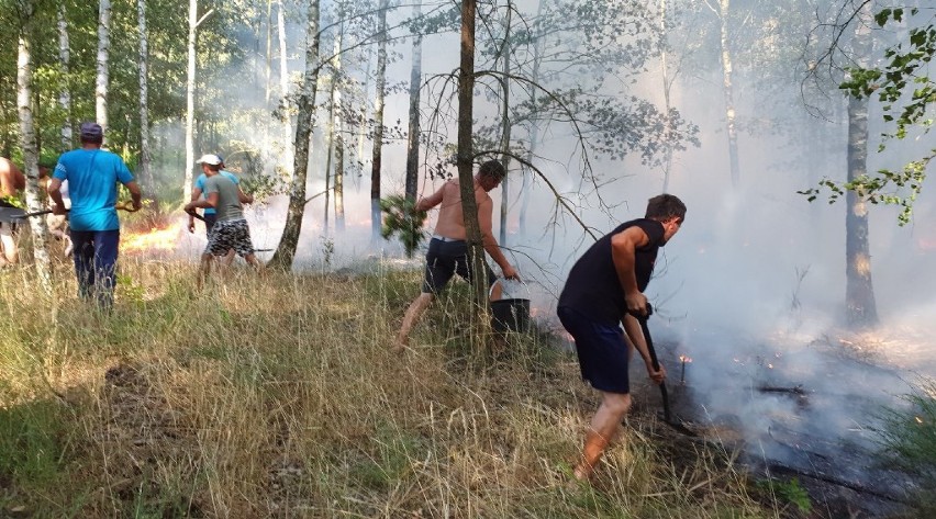 Wielki pożar zboża i lasu w Bełczu Górnym. W jego gaszeniu pomogli Ukraińcy [ZDJĘCIA]