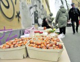 Lublin: Koniec dzikiego handlu na ulicach