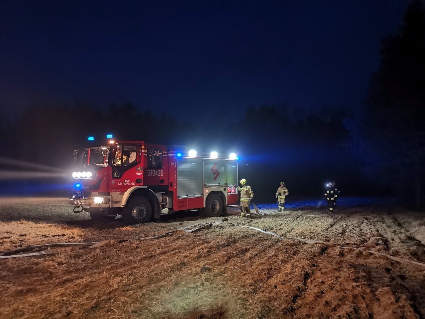 Pożar lasu w Skudzawach koło Rypina. Z ogniem walczyli strażacy z niemal całego powiatu [05.04.22, zdjęcia]