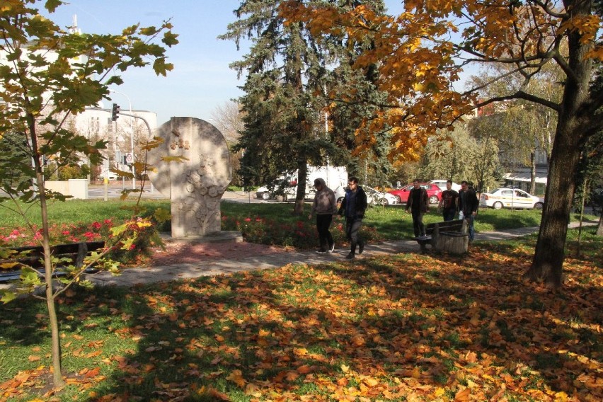 Wypas dla pszczół przy centrum Kielc 