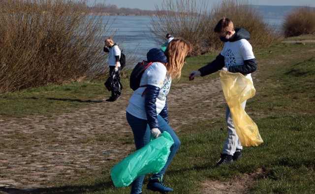 Akcja Operacja czysta rzeka" w Grudziądzu. 20 wolontariuszy zbierało śmieci "zgubione" przez spacerowiczów.