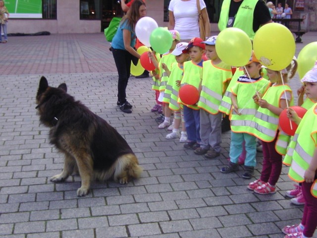 przedszkolaki pilnowane przez psa tresowanego