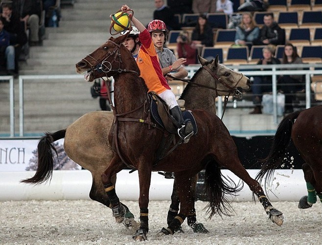 Parada Jeździecka w Atlas Arenie: mecz horseball'a [ZDJĘCIA]