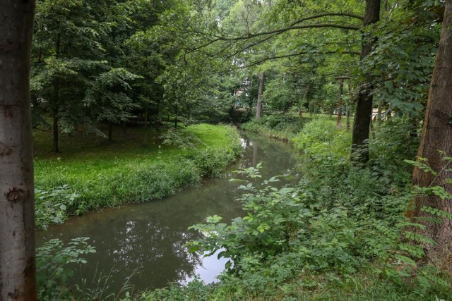 Malownicze krajobrazy nad rzeką Prądnik (Białuchą)