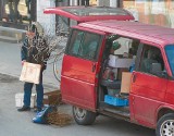 Nielegalny handel w samym centrum Gdańska. Co na to Straż Miejska? [ZDJĘCIA]