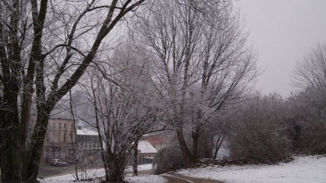 Nowy Rok zaczynamy od silnego wiatru i pochmurnego nieba.