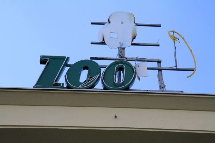 Ze słynnego neonu wrocławskiego zoo zdmuchnęło lwa