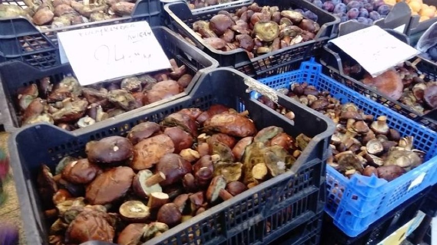 Ceny grzybów we Wrocławiu