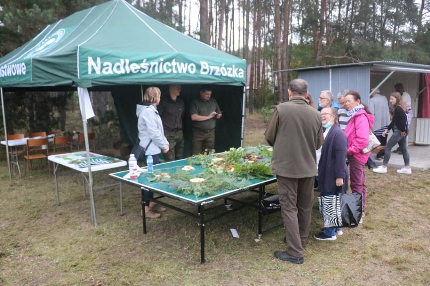 Tak wyglądało Grzybobranie w Nowym Raduszcu. Będą kolejne...