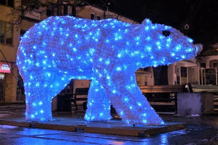 Chełm. Biały niedźwiedź i duch Bieluch w świątecznej odsłonie - zobacz zdjęcia