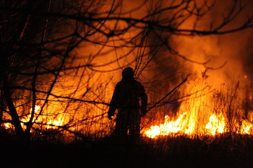 Pożar na Słocinie w Rzeszowie. Ktoś podpalił trawy bardzo blisko domów [ZDJĘCIA, WIDEO]