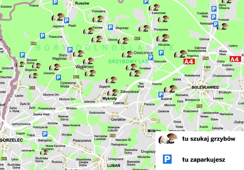 Mapka powstała we współpracy z Regionalną Dyrekcją Lasów...