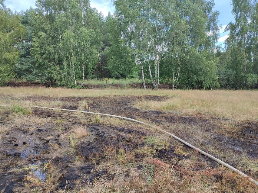 Pożar obok Lasu Bełdowskiego. Paliło się 300 mkw. suchych traw. 