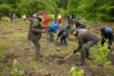 W Nadleśnictwie Gromnik powstał las dedykowany Janowi Pawłowi II. Na pograniczu Jonin i Swoszowej zasadzono kilkaset drzew