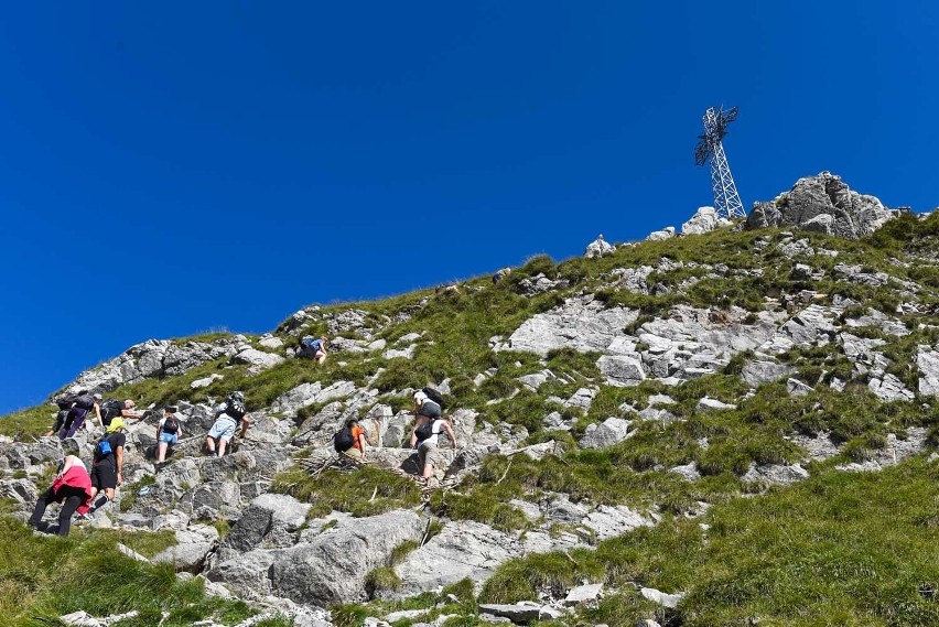 Tatry. Przyrodnicy zamkną szlak na Giewont w wakacje? [ZDJĘCIA]