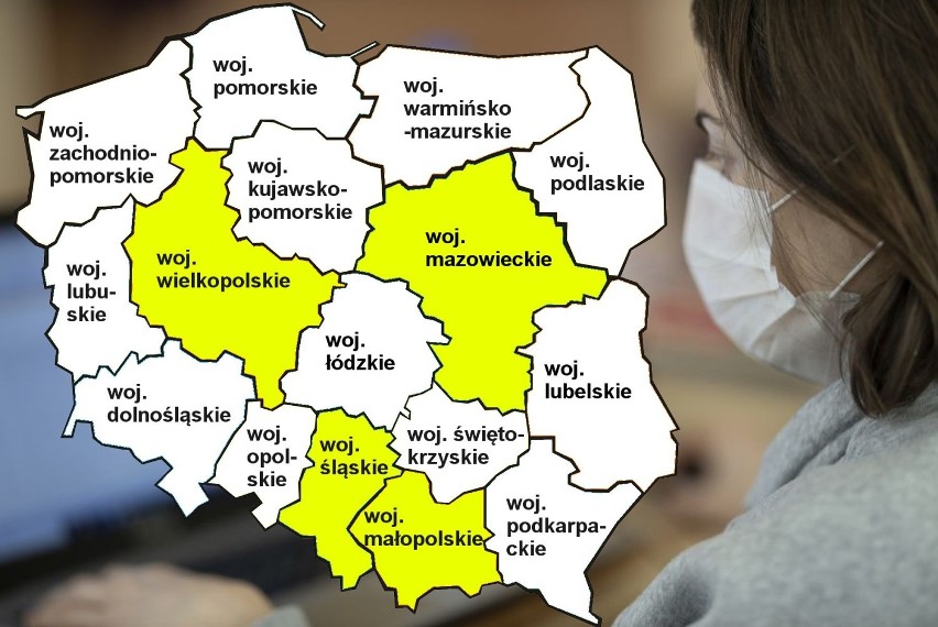 W tych województwach przebadano najwięcej próbek:
1....