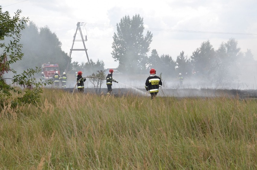 Pożar w Trzemesznie. Ogień się rozprzestrzeniał [Zobacz zdjęcia]