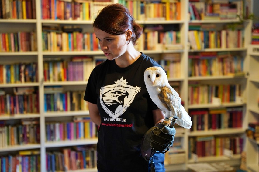 Wronki. Niecodzienni goście w bibliotece. Jakie zwierzęta towarzyszyły sokolnikom?