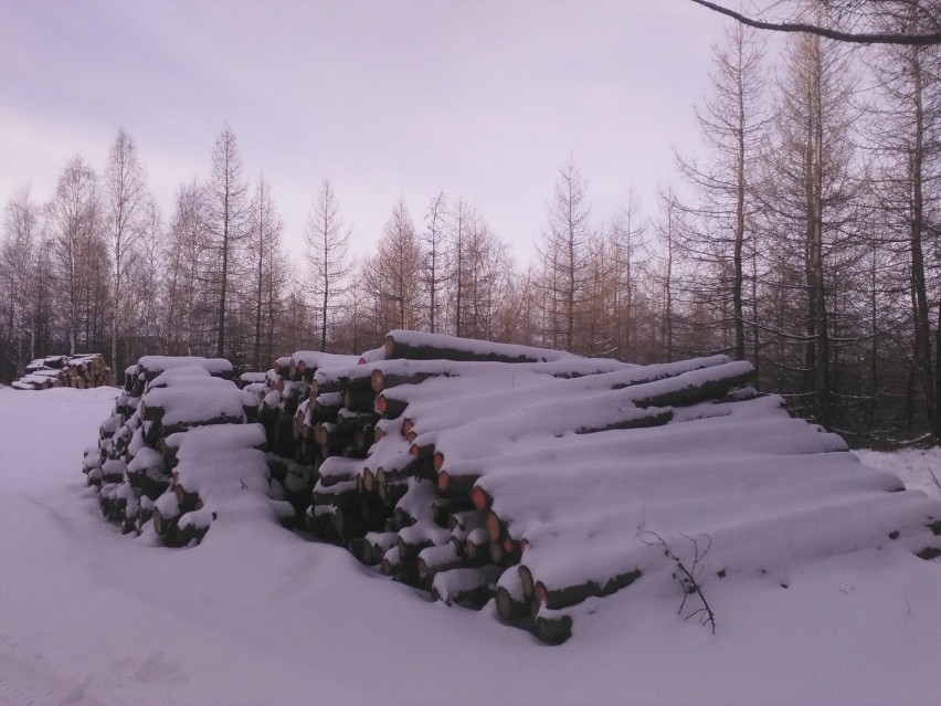 Karkonosze. W górach nadal piękna zima  (FOTO)