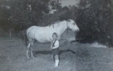 Z historii Grodziska: koń Max, który królował na ulicy Wypoczynkowej