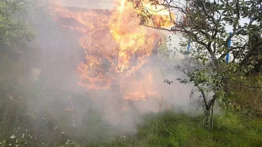 Pożar na ogródkach działkowych w Mosinie: Spłonęły altanki