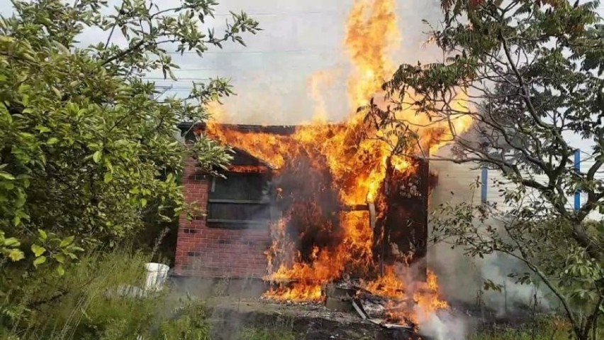 Pożar na ogródkach działkowych w Mosinie: Spłonęły altanki