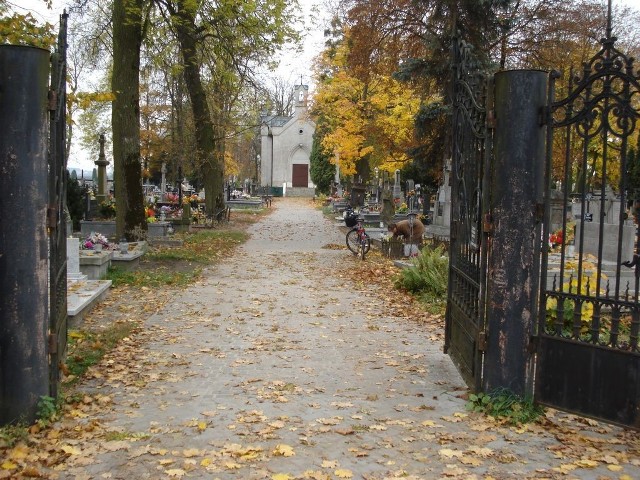 Cmentarz w Opolu Lubelskim