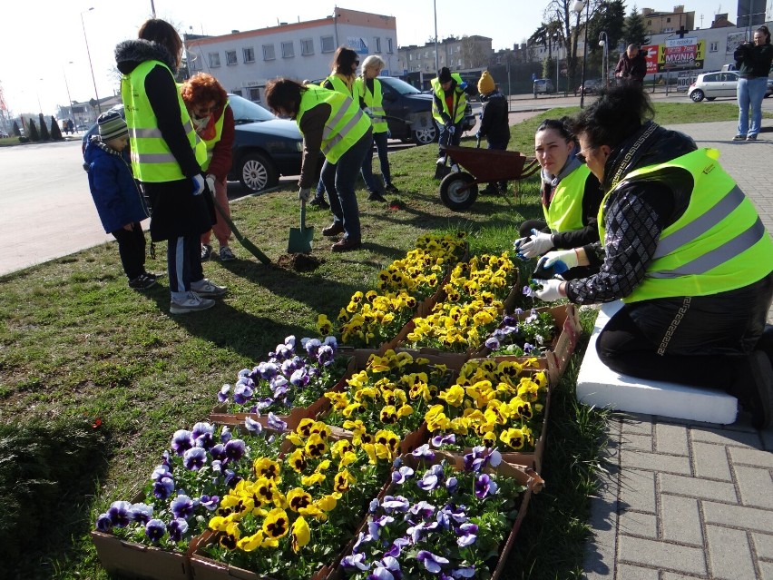 Uchodźcy z Ukrainy sadzili kwiatki i tuje dla Radomska! [ZDJĘCIA]