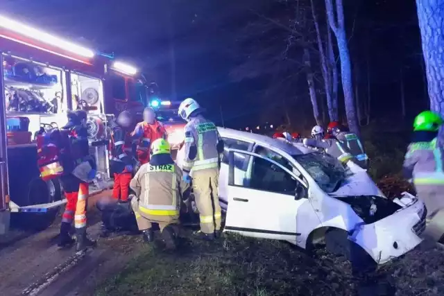 Kurier wiózł czterech Syryjczyków, wszyscy zostali ranni w wypadku