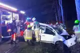 Kurier przewożący migrantów roztrzaskał się na drzewie pod Hajnówką. Wiózł 4 osoby