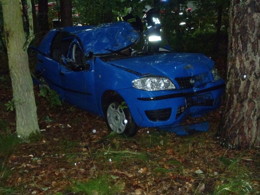 Wypadek w Parkowie: Drzewo przewróciło się na jadący samochód [ZDJĘCIA]