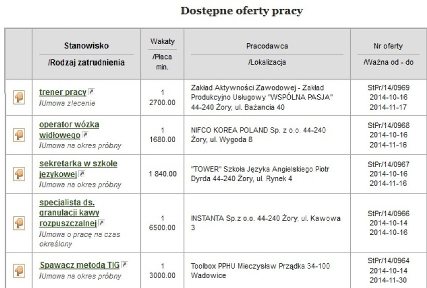 Oferty pracy Żory: Sprawdź, jakie są. Ile możesz zarobić?