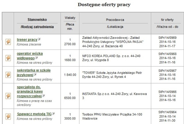 Oferty pracy Żory: Sprawdź, jakie są. Ile możesz zarobić?