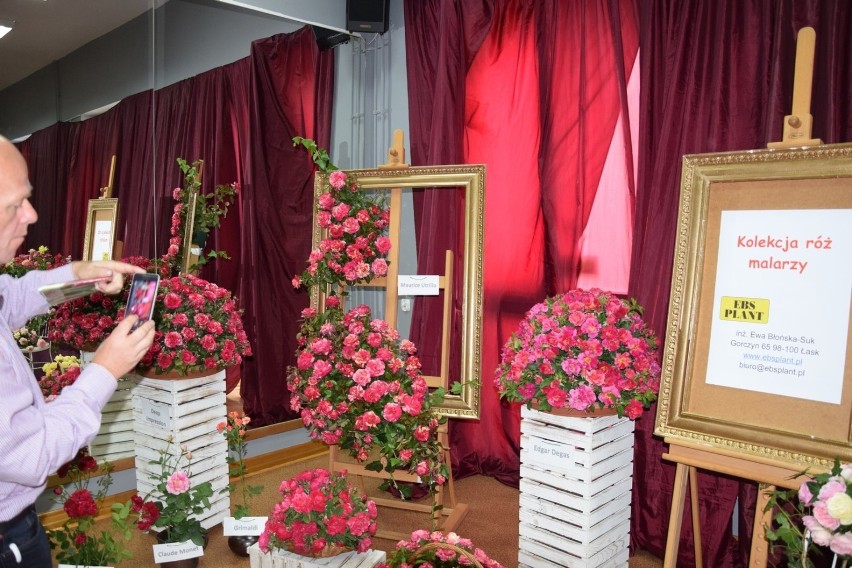 7. Festiwal Róż w Łasku. Konferencja i wystawa róż [fotogaleria]