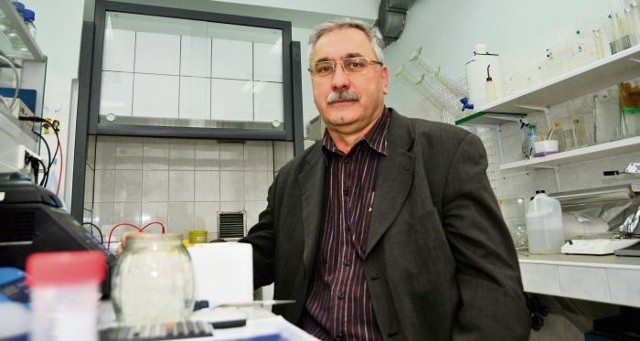 Profesor Ryszard Słomski, poznański genetyk i biochemik, przy odtwarzaniu genomu tura wykorzystuje również nowoczesne techniki  kryminalistyczne