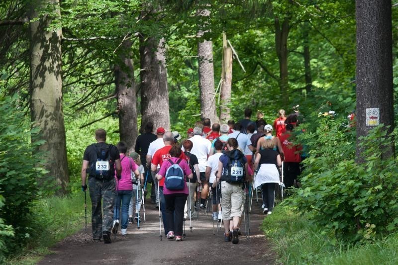 Zawody Nordic Walking zorganizowany w 2012 roku przez starostwo powiatowe w Wałbrzychu