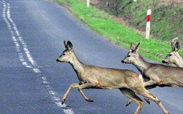 Wypadek koło Góry Bałdrzychowskiej. Poszkodowanych ratowali ochroniarze