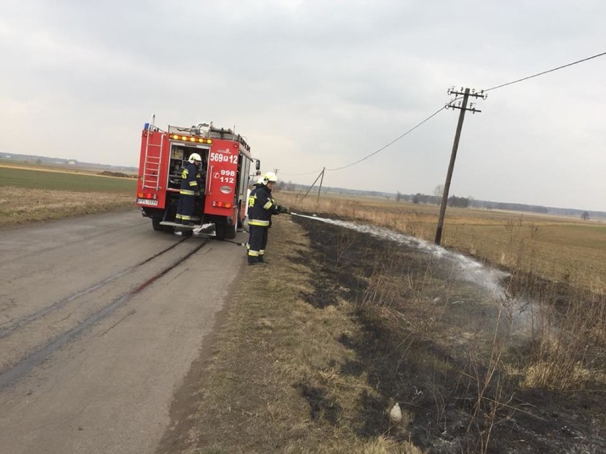 Strażacy z OSP Chocz gasili pożar traw [ZDJĘCIA]