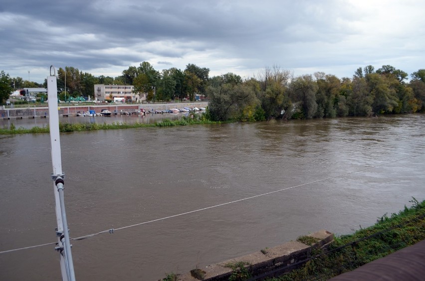 Rośnie poziom wody w Odrze w Głogowie. Podtopiło już ławki na Placu Festynowym. Zdjęcia/filmy