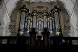 Muzyka. Do krakowskich kościołów wracają Letnie Koncerty Organowe