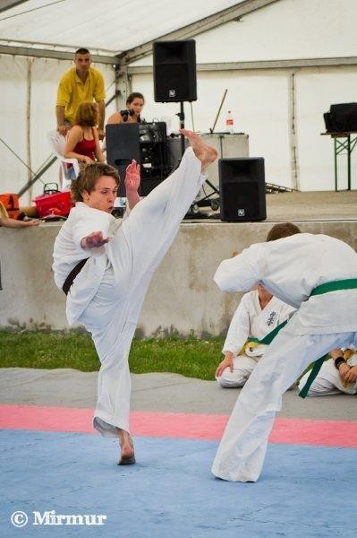 Dąbrowscy karatecy zaprezentowali się podczas festiwalu w węgierskim Budapeszcie
