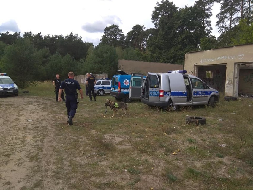 Specjalne szkolenie dla psów policyjnych. Udział wzięły w nim także czworonogi z KPP w Wągrowcu
