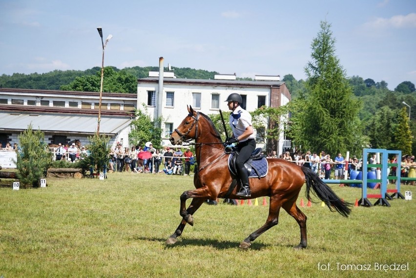 Mundurowi na koniach -XIV Międzynarodowy Turniej Policji Konnej