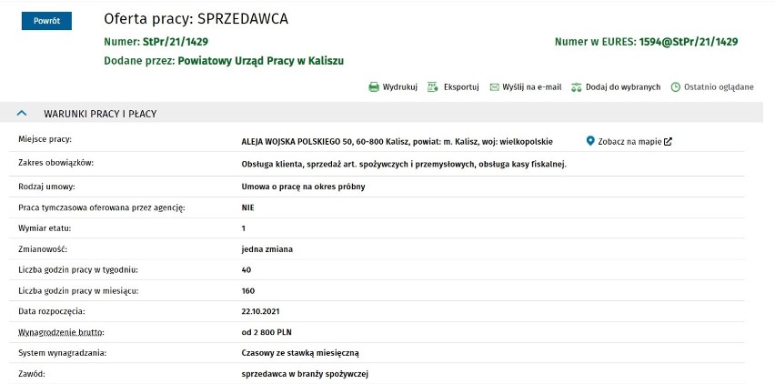 Nowe oferty pracy w Powiatowym Urzędzie Pracy w Kaliszu. Sprawdź za jaką stawkę